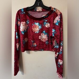 Elegant Floral Velvet Crop Top in Deep Red whimsical